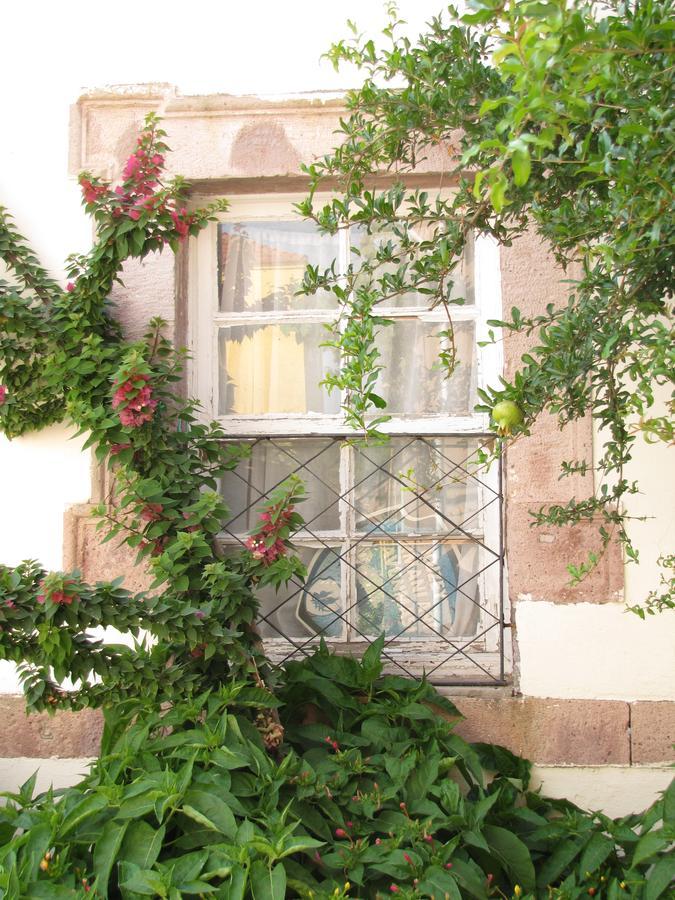 Eolos House Cunda Ayvalik Exterior photo